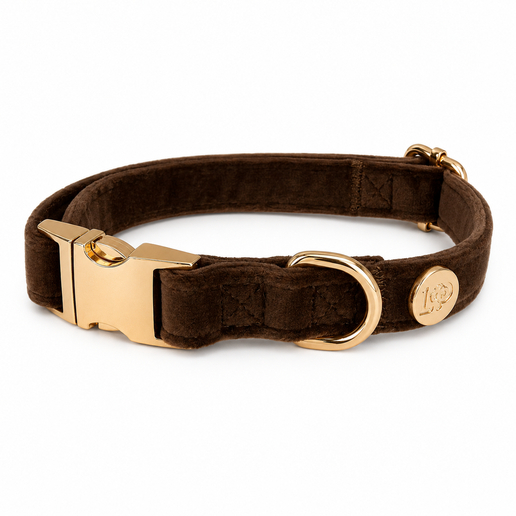 Dog Collar - Velvet - Chocolate Brown